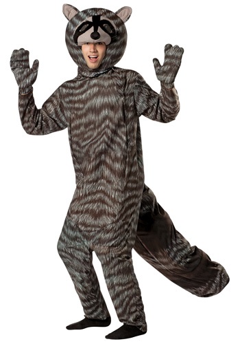 Raccoon Costumes (for Men, Women, Kids) | PartiesCostume.com